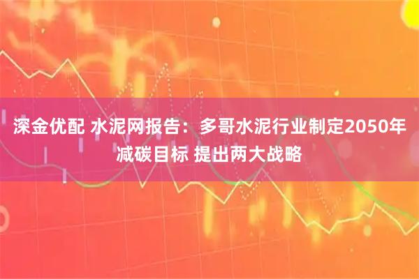 深金优配 水泥网报告：多哥水泥行业制定2050年减碳目标 提出两大战略